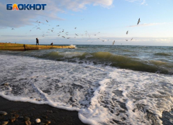 Теплое начало ноября ожидается в Сочи