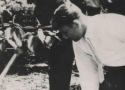  «Дерево жить не будет»: после смерти Гагарина погибла магнолия, высаженная им в Сочи