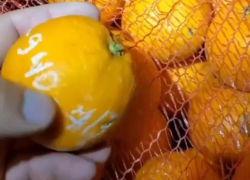 Когда Тиндер ушел: продавец фруктов из Абхазии нашел необычный способ познакомиться