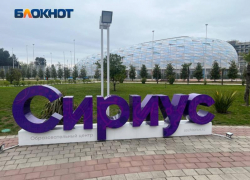 В «Сириусе» создадут Педагогический институт для подготовки кадров для естественно-научных школ