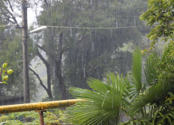 Доброе утро, Сочи