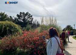 В Сочи ожидается резкое потепление