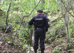 Задержан сбытчик наркотиков