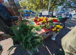 В Сочи оштрафовали женщину, продающую краснокнижные зимоцветы