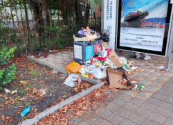 Сочи стал погружаться в мусор из-за смены подрядчиков