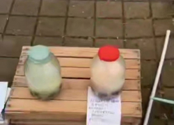 Странный «чудодейственный» квас продают на улице в центре Сочи