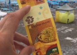 В Абхазии появилась собственная валюта с изображениями леопарда и оленя