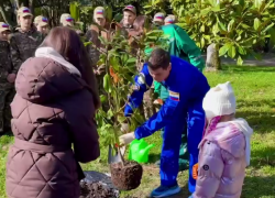 Космонавт-испытатель высадил 69-ю магнолию на Аллее космонавтов в Сочи