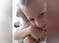 9-летний мальчик, лицо которого съели хаски в Сочи, получил инвалидность