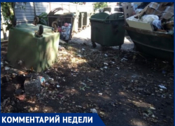 Власти отреагировали на обращение сочинки: «По указанному адресу мусор вывезли»