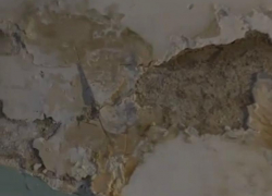 «По стенам стекают соседские фекалии»: жители многоэтажки Сочи жалуются на канализацию в подъезде