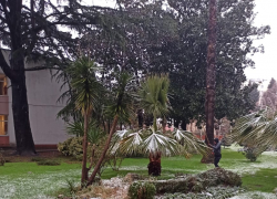 Сочи засыпает снегом