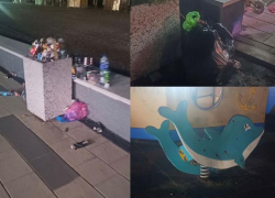 Пляж в Сочи, в который вкладывал деньги депутат Напсо, пугает туристов своим видом