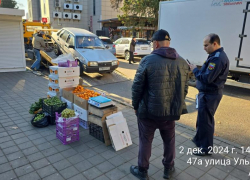 В Сочи у нелегального торговца изъяли автомобиль
