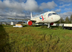 Самолет Сочи – Омск, севший в поле под Новосибирском, начали разбирать на запчасти