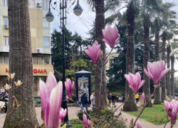 Доброе утро, Сочи