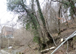 Жители окрестностей и сел Сочи восьмой день сидят без интернета