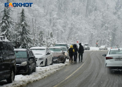 34 сантиметра свежего снега за сутки выпало в горах Сочи