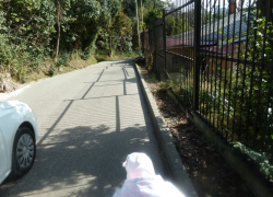 Четыре года жители Сочи не могут добиться обустройства тротуара вдоль единственной дороги 