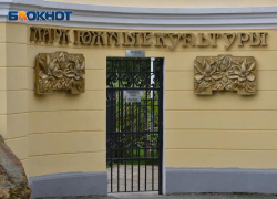 Стало известно об изменениях в работе парка «Южные культуры» в Сириусе 