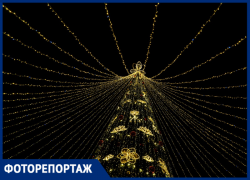«Новый год стучится в двери»: на площади Флага в Сочи  главный символ праздника зажегся разноцветными огнями