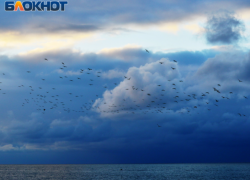 У берегов Сочи формируется субтропический циклон 