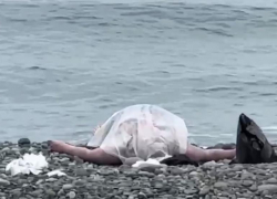 Тело женщины обнаружили на пляже в Сочи