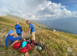 В Сочи на высоте 2350 метров над уровнем моря туриста укусила гадюка