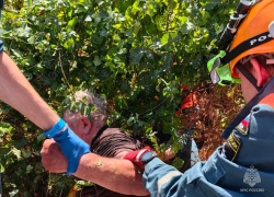 В Сочи спасатели освободили от металлических оков забора застрявшего жителя Абхазии