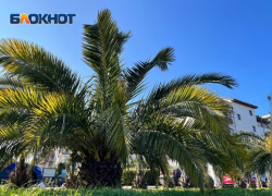 Жителей Сочи предупредили о плохом самочувствии из-за магнитной бури