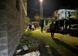 Алабай растерзал двух школьников в Сочи