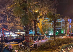 Автомобиль Росгвардии врезался в дерево на Курортном проспекте в Сочи