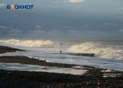 В Сочи женщину едва не смыло в море во время попытки спасти мертвого дельфина