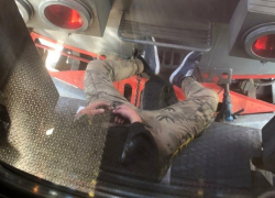 «Тульского зайца» обнаружили в поезде в Сочи