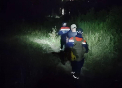 Молодой человек заблудился в лесу Сочи, решив сократить путь из села