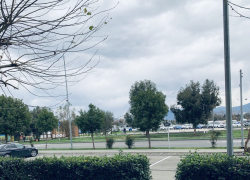 Доброе утро, Сочи 