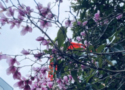 Доброе утро, Сочи 