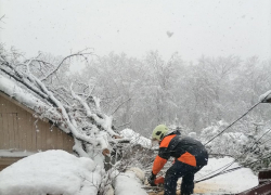 Вызволили из снежного плена