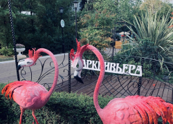 Доброе утро, Сочи