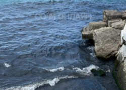 В Сочи выясняют, кто виноват в загрязнении Чёрного моря вблизи пляжа «Бытха» 