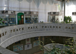 За 450 миллионов отремонтирует здание музея «Дерево Дружбы» в Сочи 