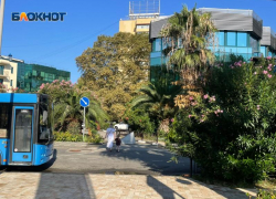 Уроженец Казахстана устроил пальбу в центре Сочи