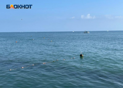 В Сочи запустили фейк о загрязнении Черного моря мазутом