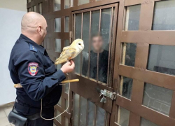 Фотограф-живодёр приставал к прохожим в Сочи