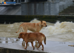 Резкое похолодание и ливни надвигаются на Сочи