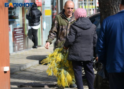 27 тонн мимозы вывезли из Абхазии за 2 недели