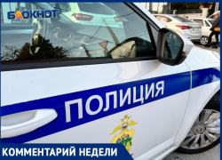 В полиции отреагировали на видеозаписи нападения пенсионерки на ребенка в Сочи: «По данному факту проводится проверка»