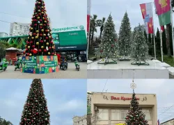 В Сочи активно готовятся к Новому Году