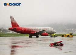  Самолет, летящий из Красноярска в Сочи, вернулся из-за технической неисправности