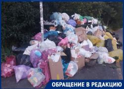 «Курорт превращается в свалку»: жители Сочи не перестают жаловаться на вывоз мусора